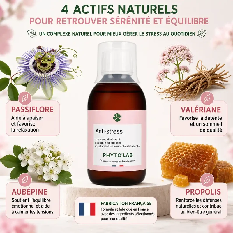 Sirop Anti-Stress Chien Chat 250ml - Calme & Apaise - Phyto'Lab