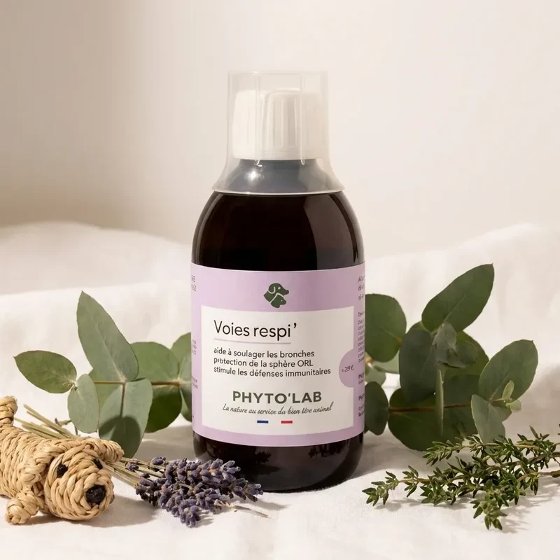 Voies Respi' Chien Chat 250ml - Apaise et Libère - Phyto'Lab
