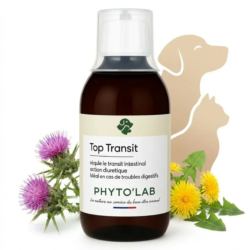 Top Transit - Confort Intestinal - 250ml - Phyto'Lab