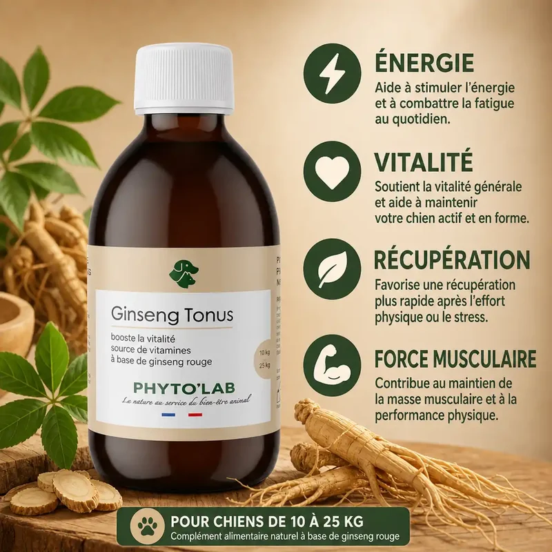 Ginseng Tonus Chien & 10-25 kg - Force et Tonus - 250ml - Phyto'Lab