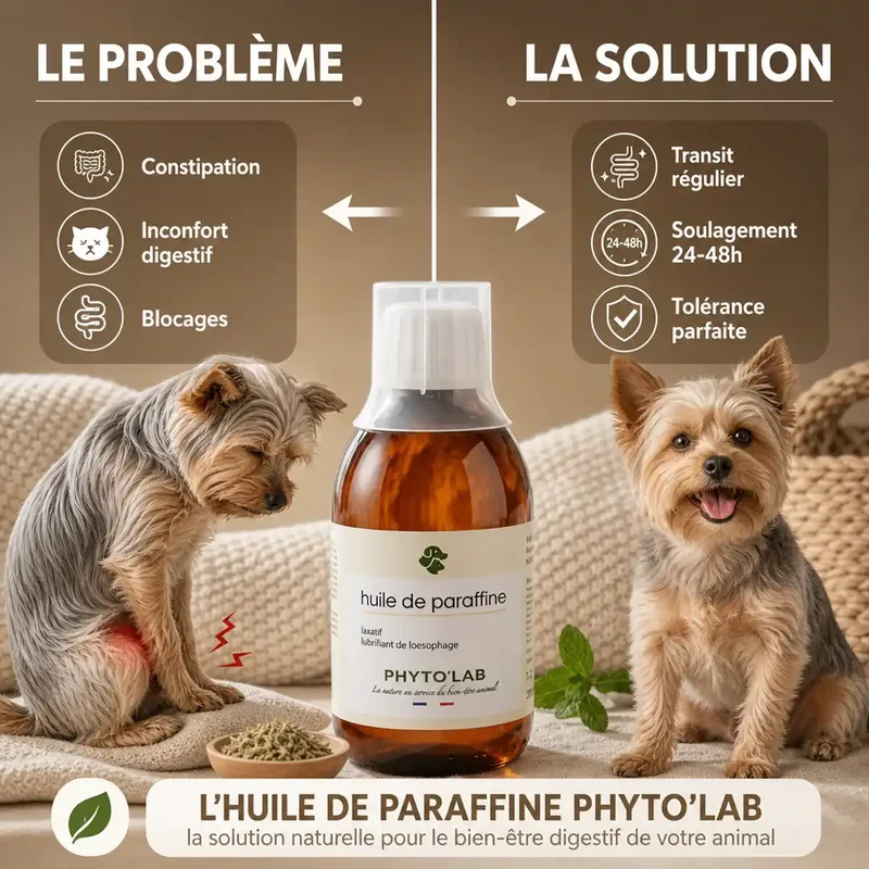 Huile de Paraffine 250 ml - Traitement Constipation Chien et Chat - Phyto'Lab