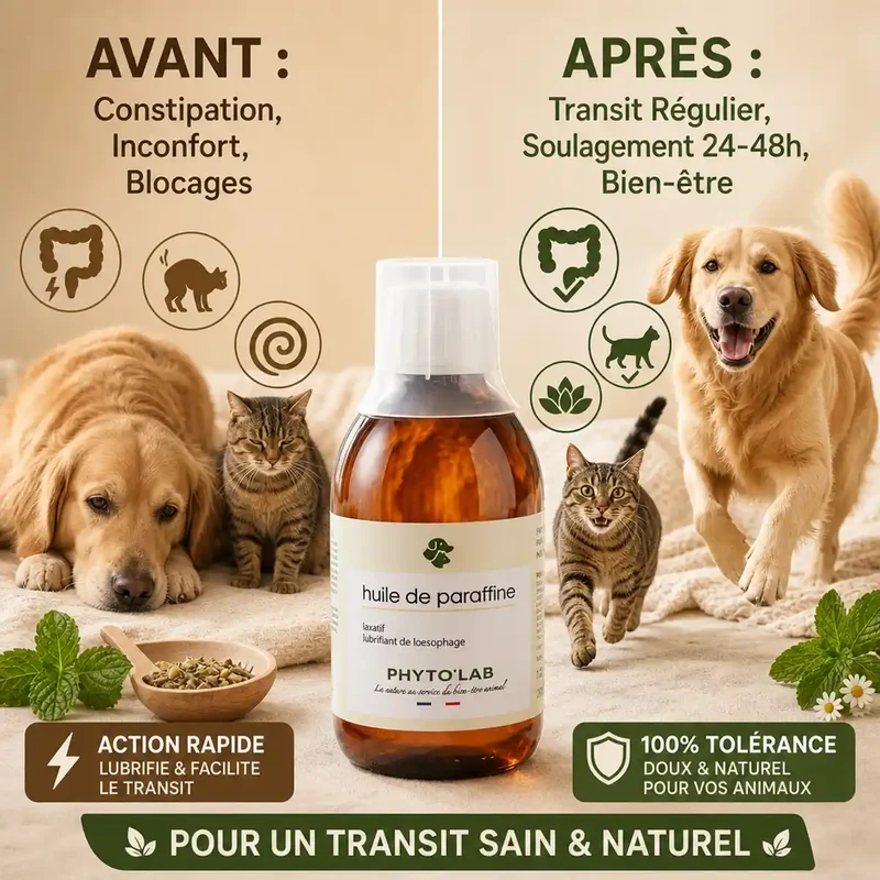Huile de Paraffine 250 ml - Traitement Constipation Chien et Chat - Phyto'Lab