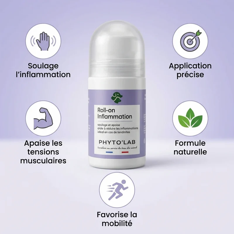 Roll-on Inflammation - Muscles et Articulations - 65ml - Phyto'Lab