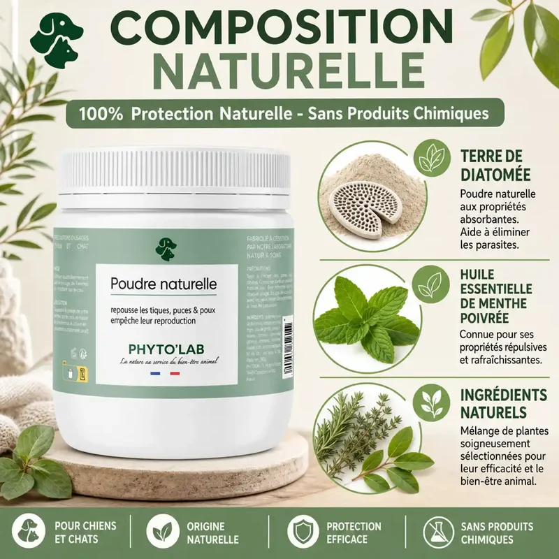 Poudre Noire Naturelle - Anti-Puces et Tiques - 350 g - Phyto'Lab