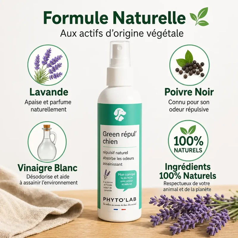 Green Repul' Chiens - Répulsif Naturel à la lavande - 250ml - Phyto'Lab