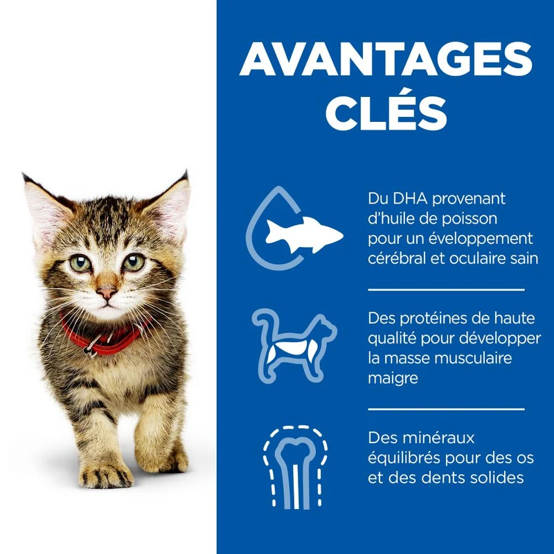 Hill's Science Plan Kitten en bouchées saveurs mixtes – pâtée chaton