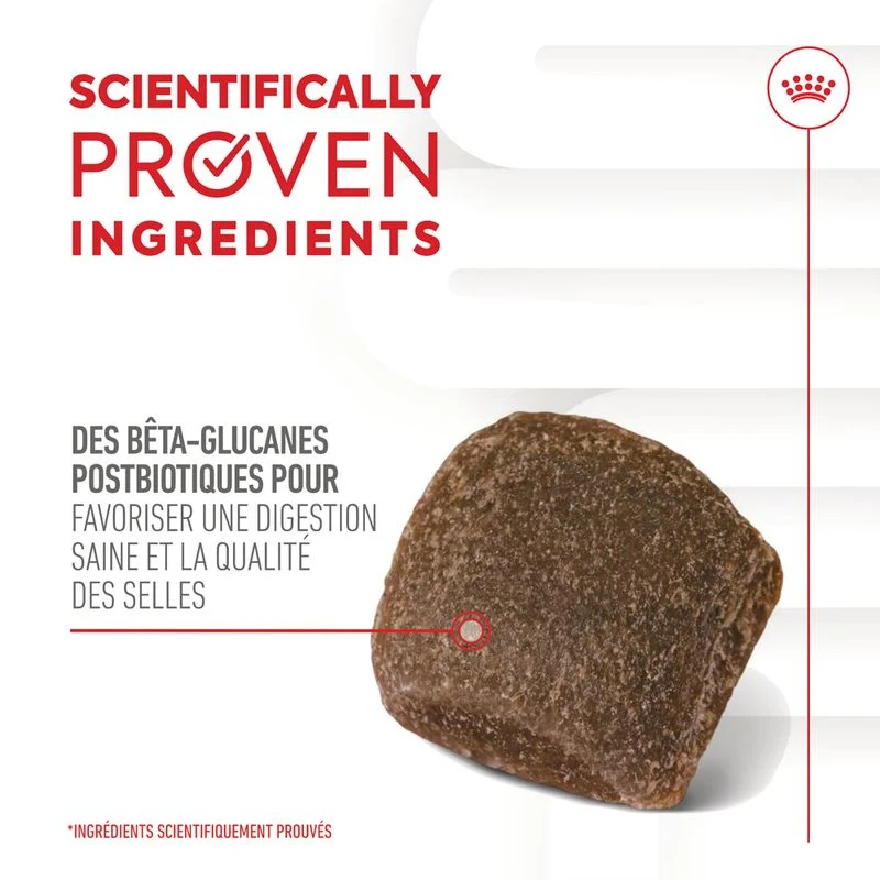 Aliment complémentaire Adult Digestion Chews chien