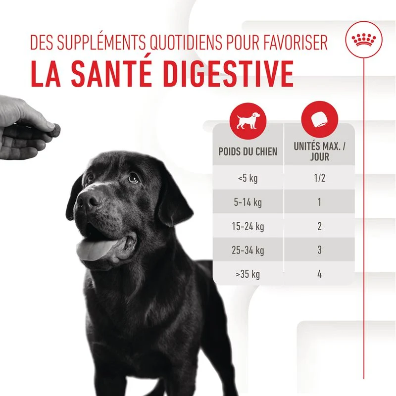 Aliment complémentaire Adult Digestion Chews chien