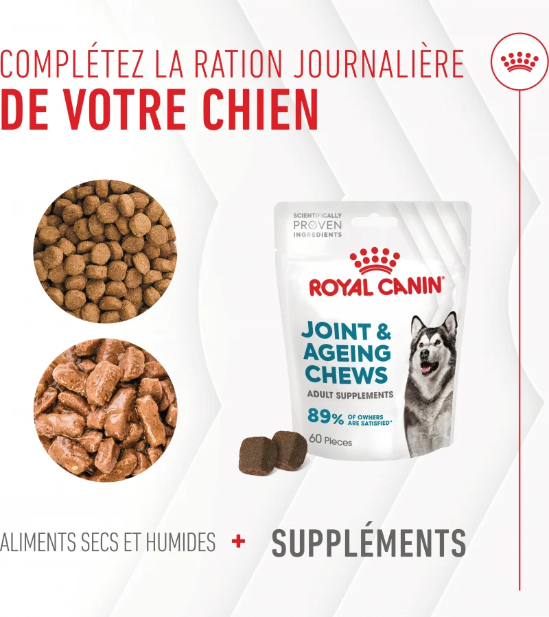 Aliment complémentaire Joint & Ageing Chews pour chien