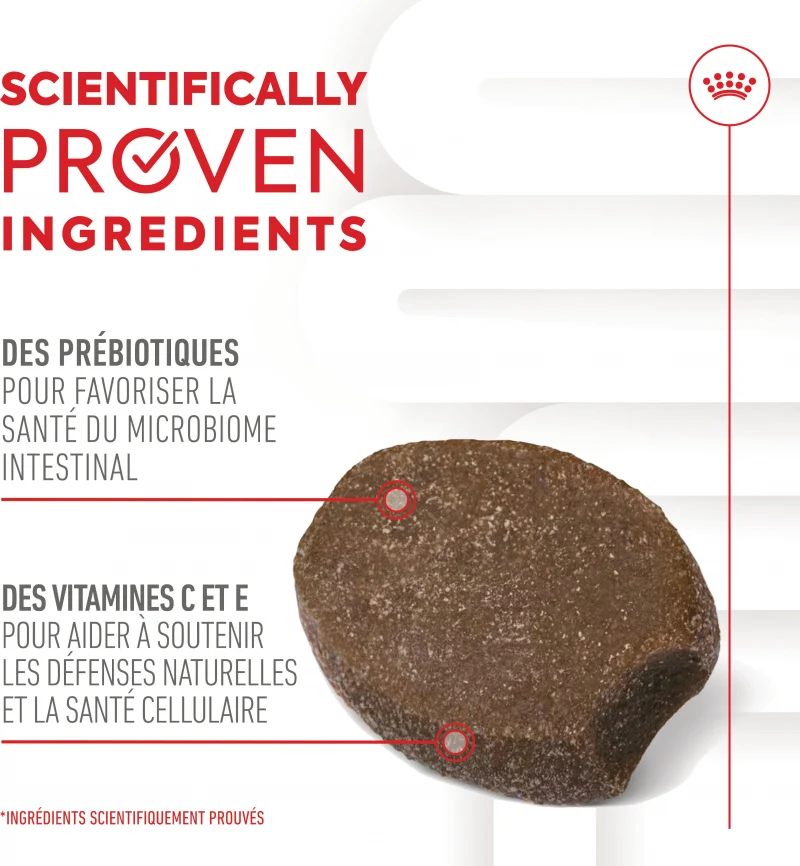 Aliment complémentaire Puppy Immunity & Digestion Chews chiot