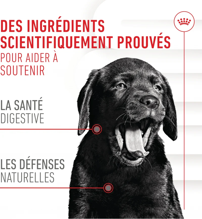 Aliment complémentaire Puppy Immunity & Digestion Chews chiot