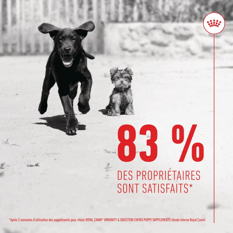 Aliment complémentaire Puppy Immunity & Digestion Chews chiot