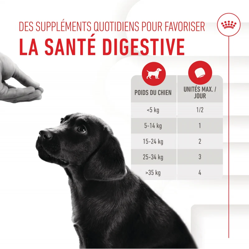 Aliment complémentaire Puppy Immunity & Digestion Chews chiot