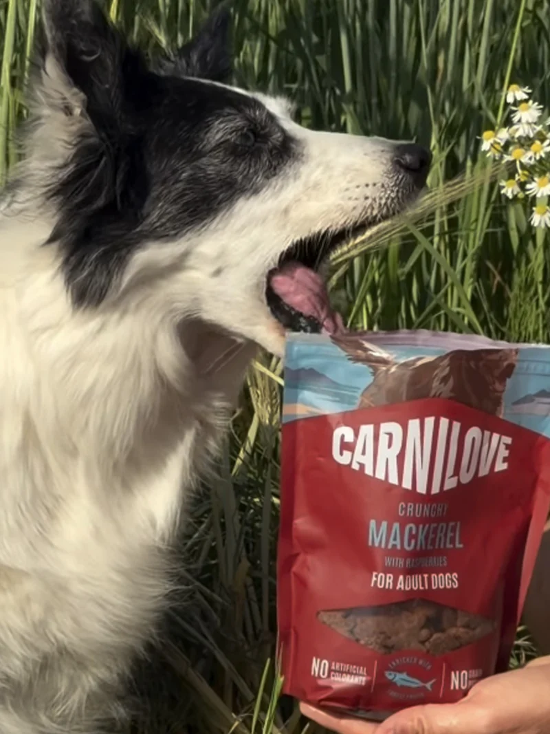 Friandises Crunchy Snack - Maquereau et Framboises - Carnilove