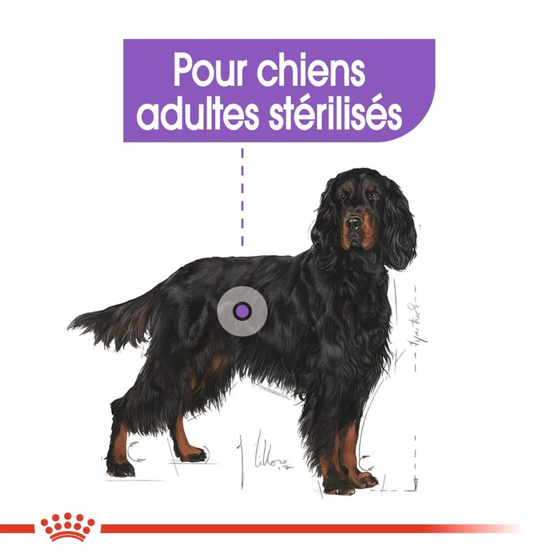 Royal Canin Maxi Sterilised - Croquettes pour chien 12kg