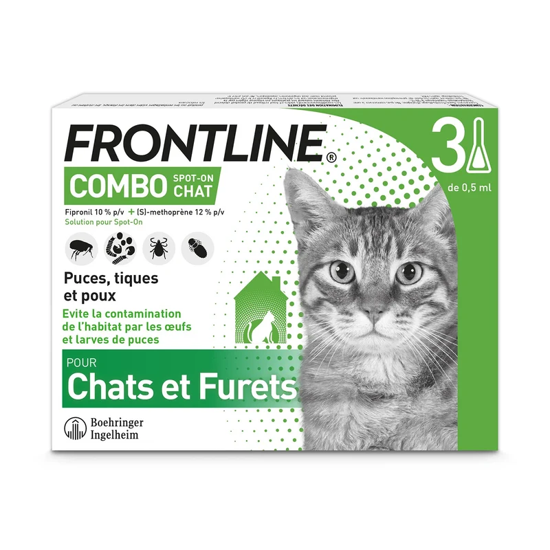 Frontline Combo chat