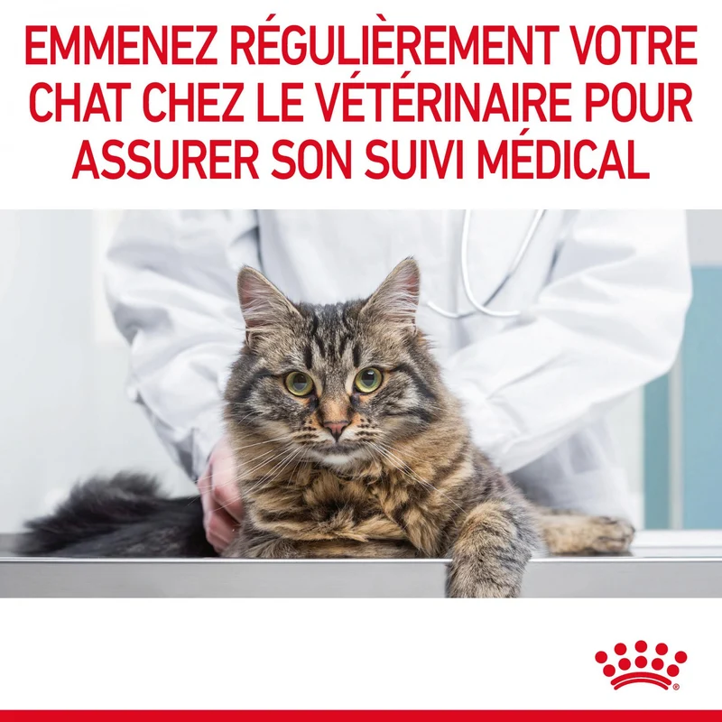 Royal Canin Light Weight Care Adult - croquettes chat
