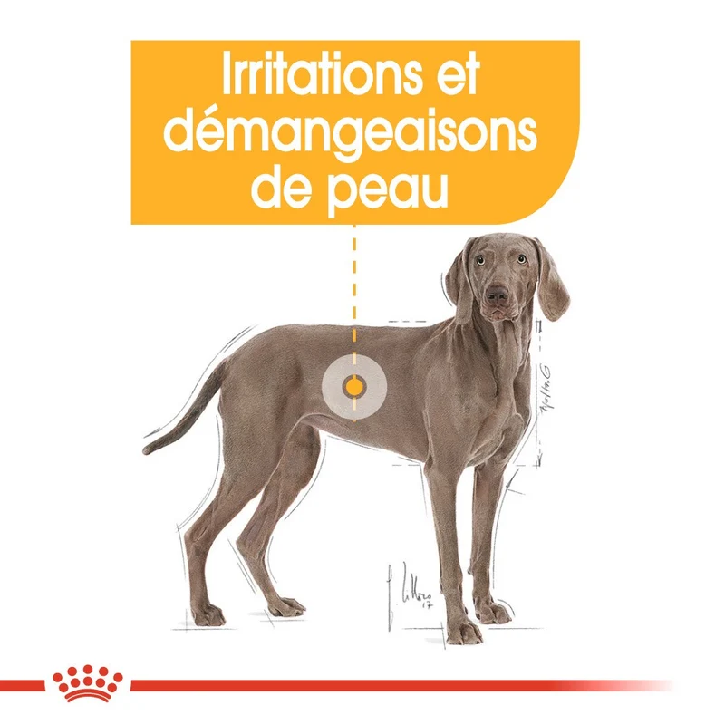 Royal Canin Maxi Dermaconfort