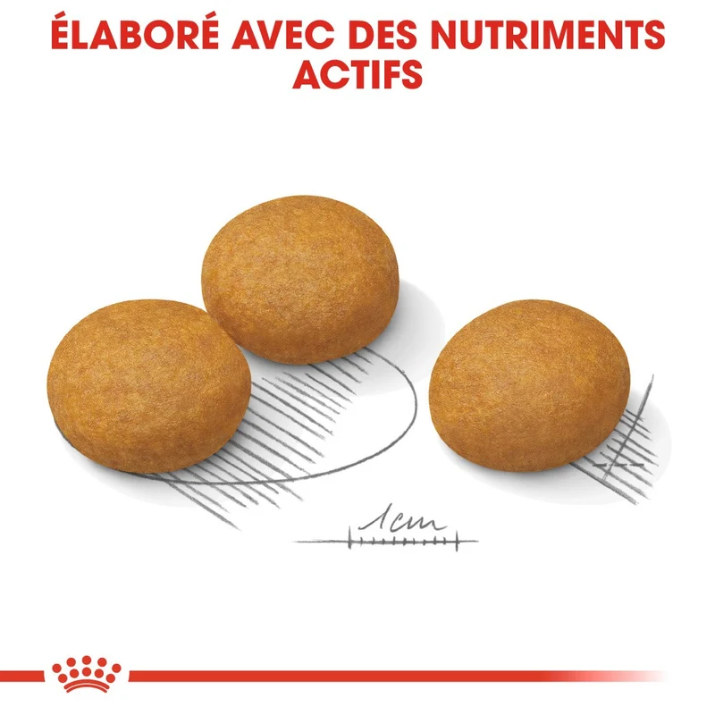 Royal Canin Maxi Dermaconfort