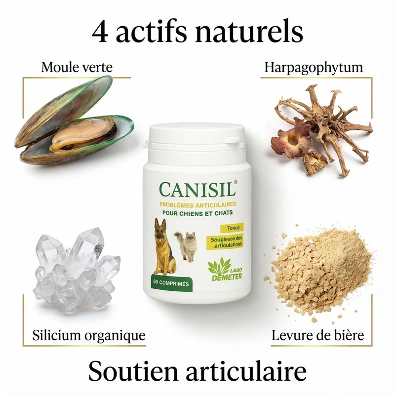 Canisil 60 comprimés - Anti-inflammatoire arthrose Chien & Chat - Labo Demeter