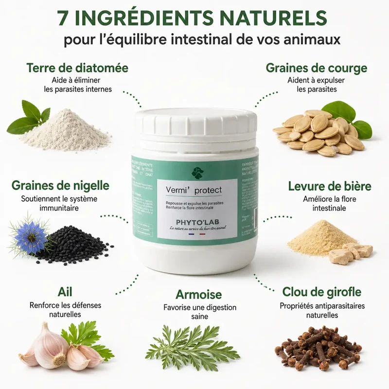 Vermi'Protect : vermifuge en poudre pour chien & Chat - 250 g - Phyto'Lab