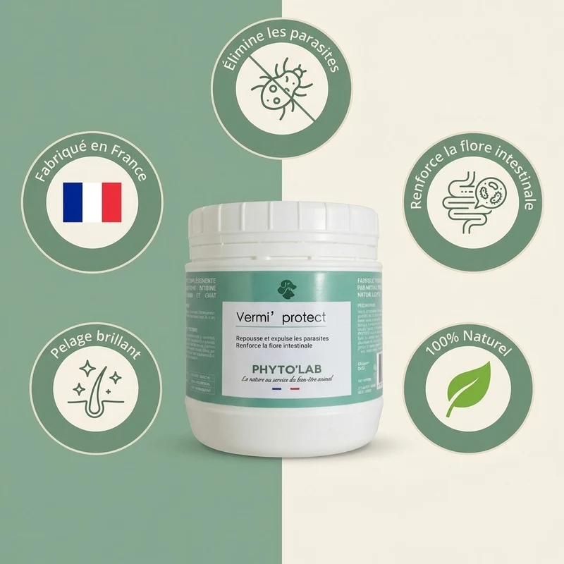 Vermi'Protect : vermifuge en poudre pour chien & Chat - 250 g - Phyto'Lab