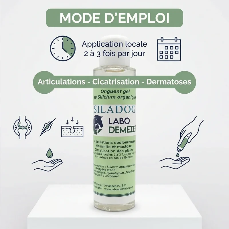 Siladog - Crème articulations, cicatrisant Chien et Chat - Labo-Demeter