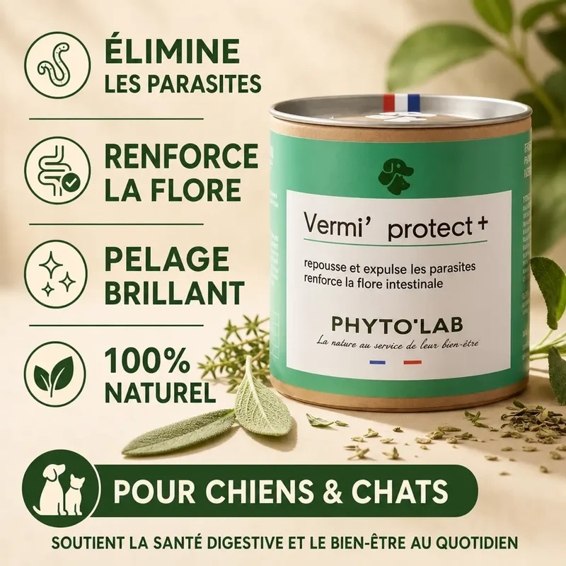 Vermi' Protect + Chien et Chat - Vermifuge - 90 Gélules - Phyto'Lab