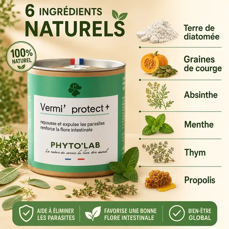 Vermi' Protect + Chien et Chat - Vermifuge - 90 Gélules - Phyto'Lab