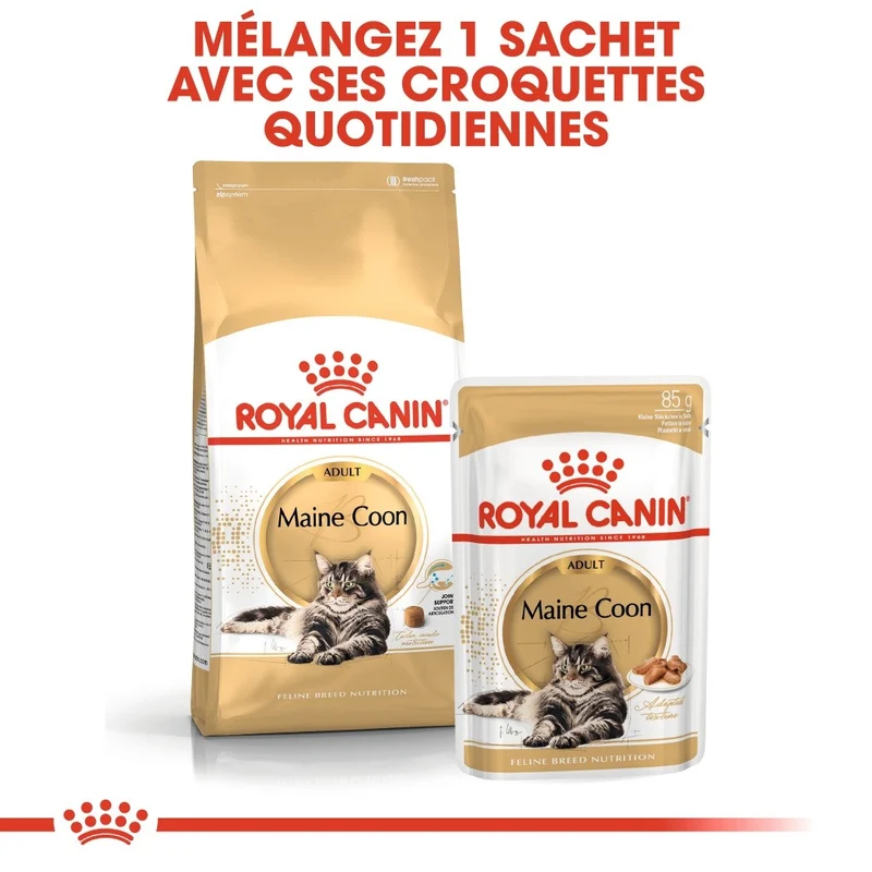 Royal Canin Maine Coon Adult - croquettes chat