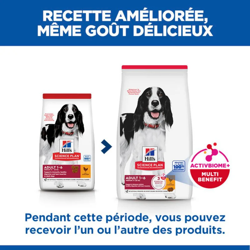 Hill's Science Plan Medium Adulte au poulet - croquettes chien