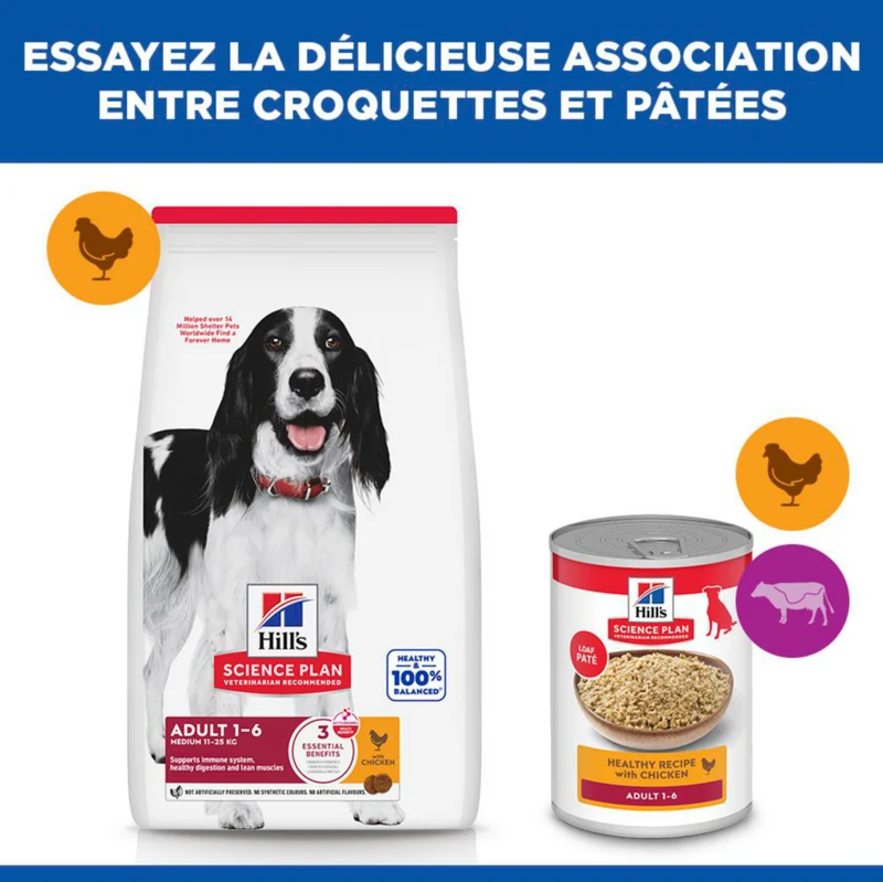 Hill's Science Plan Medium Adulte au poulet - croquettes chien