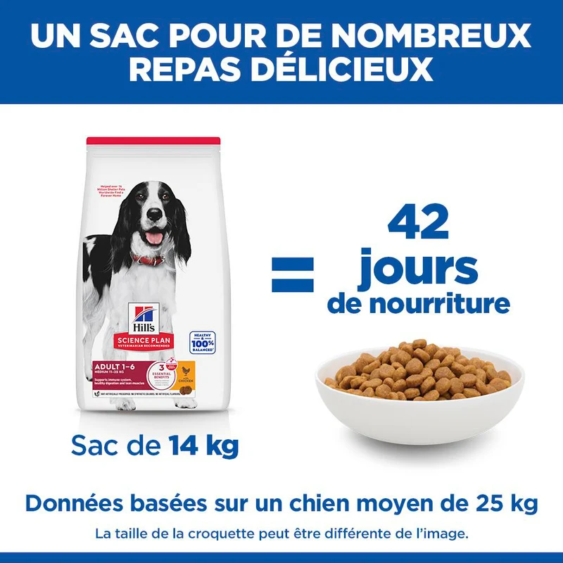 Hill's Science Plan Medium Adulte au poulet - croquettes chien