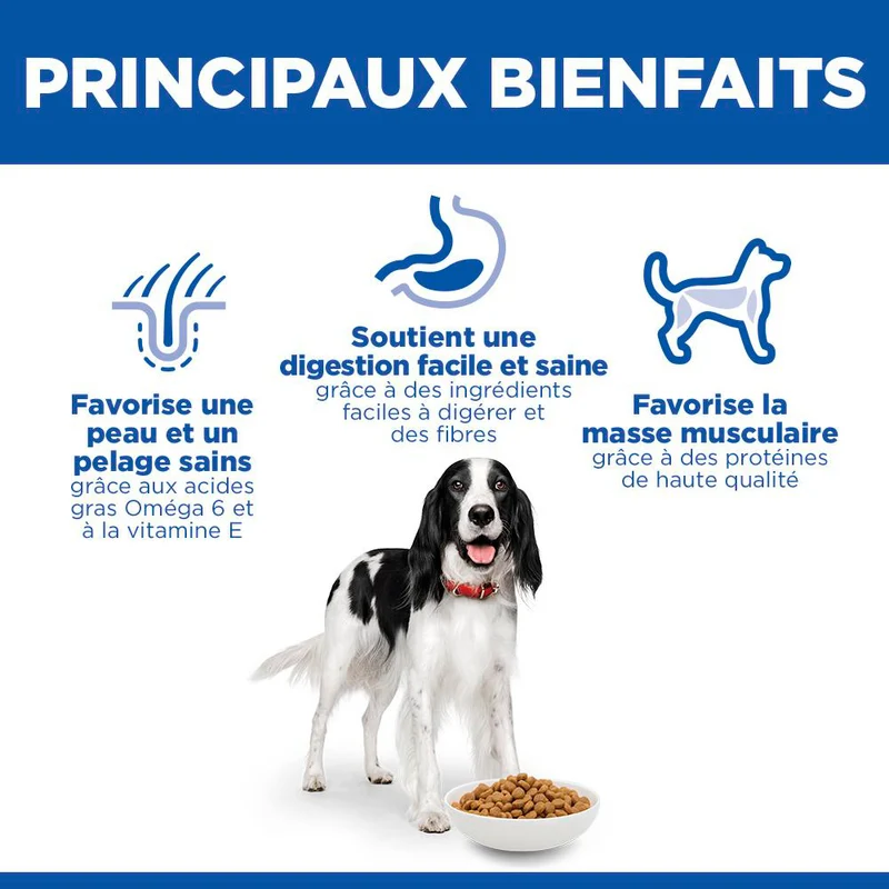 Hill's Science Plan Medium Adulte au poulet - croquettes chien