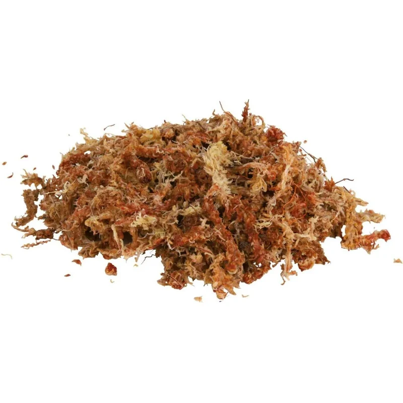 TRIXIE Mousse de Sphaigne pour Terrarium Tropical 100g (4,5L)