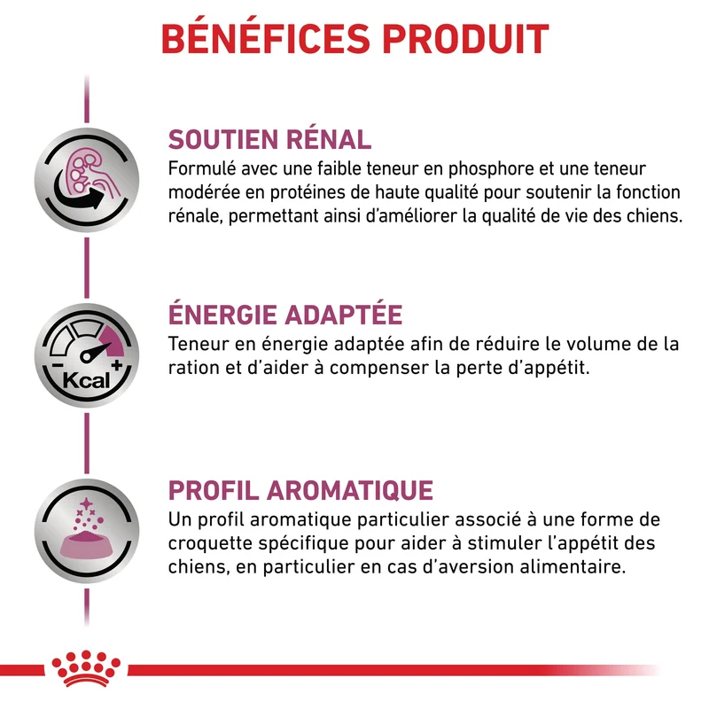 Royal Canin Veterinary Renal - aliment pour chien