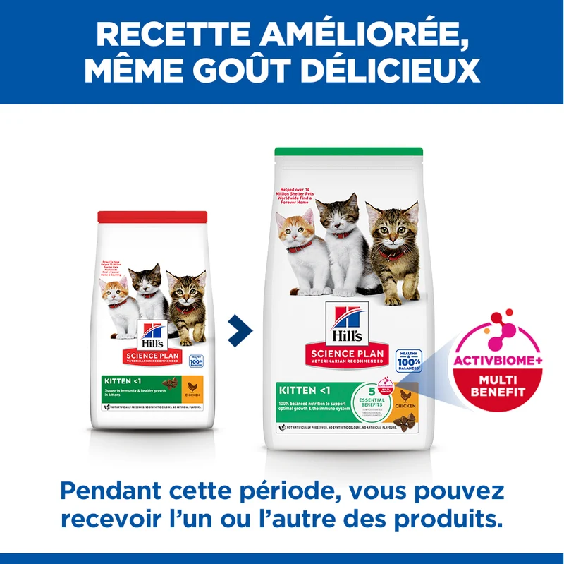 Hill's Science Plan Kitten au poulet - croquettes chaton
