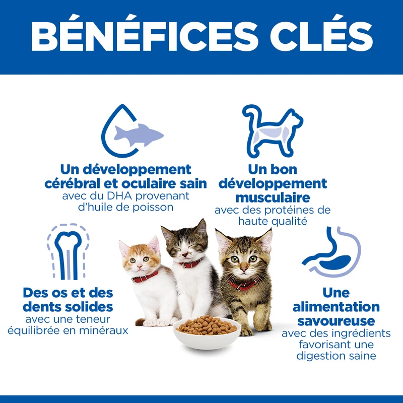 Hill's Science Plan Kitten au poulet - croquettes chaton