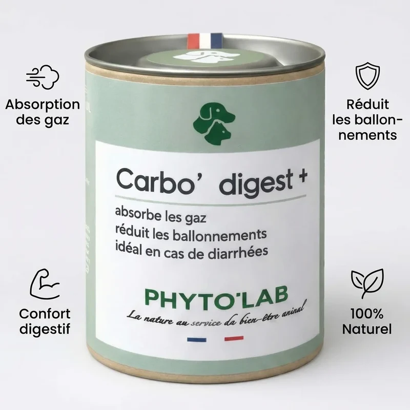 Carbo'digest + - Charbon Végétal pour Chien & Chats - 90 Gélules - Phyto'Lab