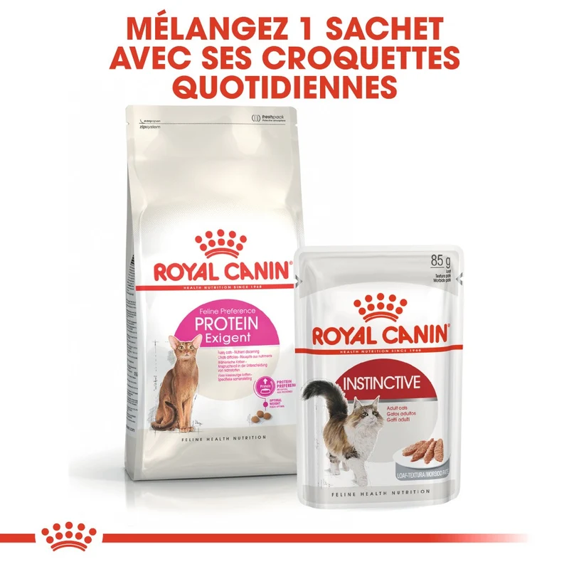 Royal Canin Protein Exigent - croquettes chat