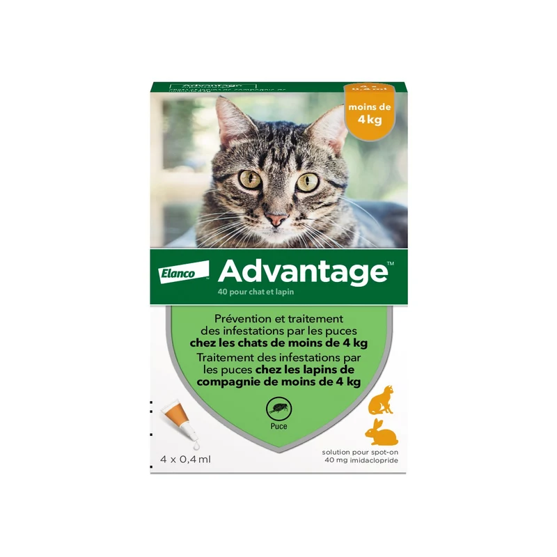 Pipettes Advantage chat, lapin