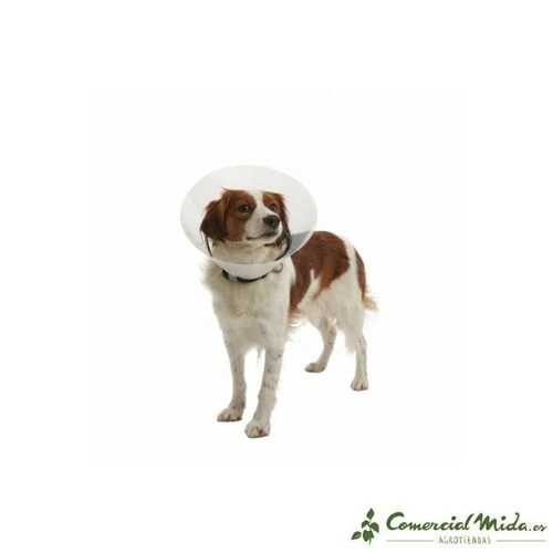 Collier Elisabéthain Transparent KRUUSE Buster Click pour Chiens