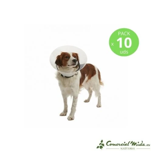 Collier Elisabéthain Transparent KRUUSE Buster Click pour Chiens