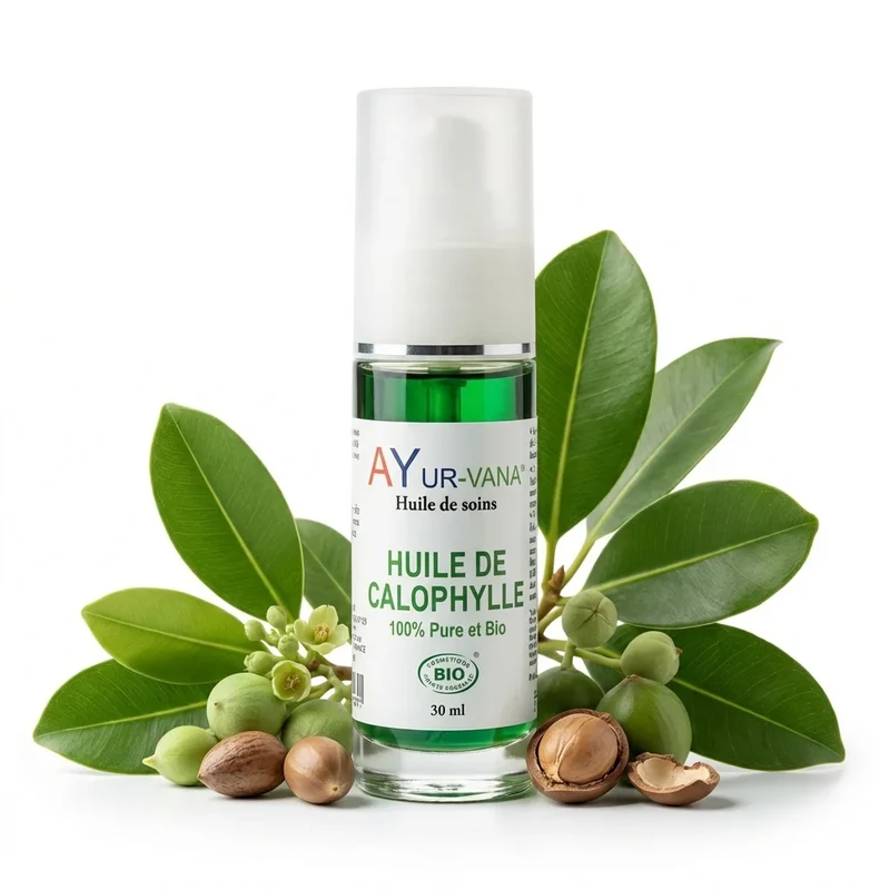 Huile de Calophylle Bio - Flacon de 30 ml - AyurVana