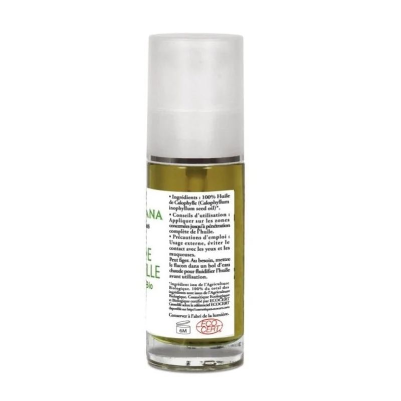 Huile de Calophylle Bio - Flacon de 30 ml - AyurVana