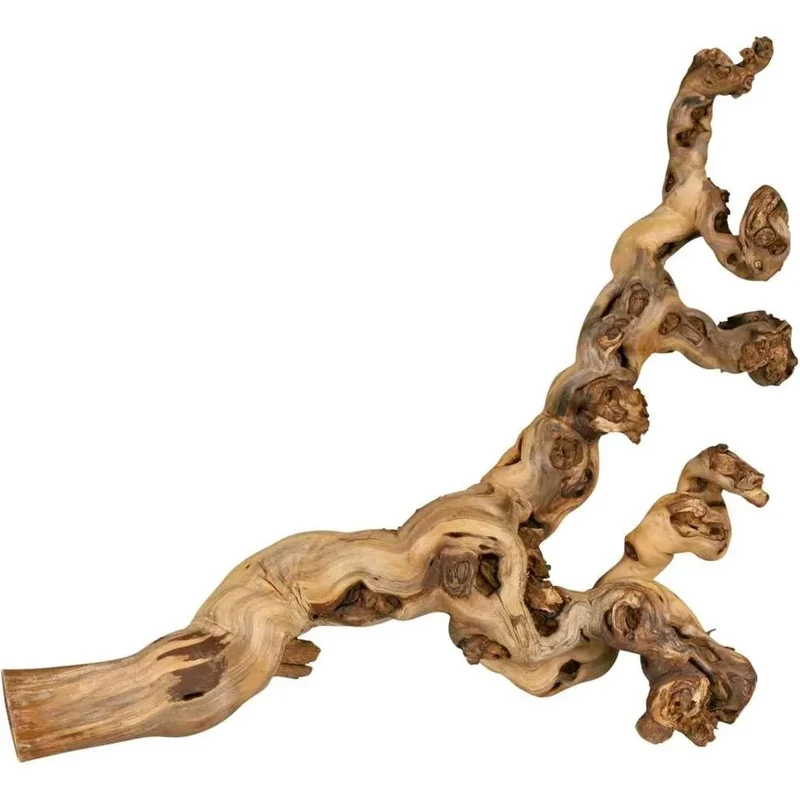 TRIXIE Pied de vigne décapage à l'eau XL 55–75 cm