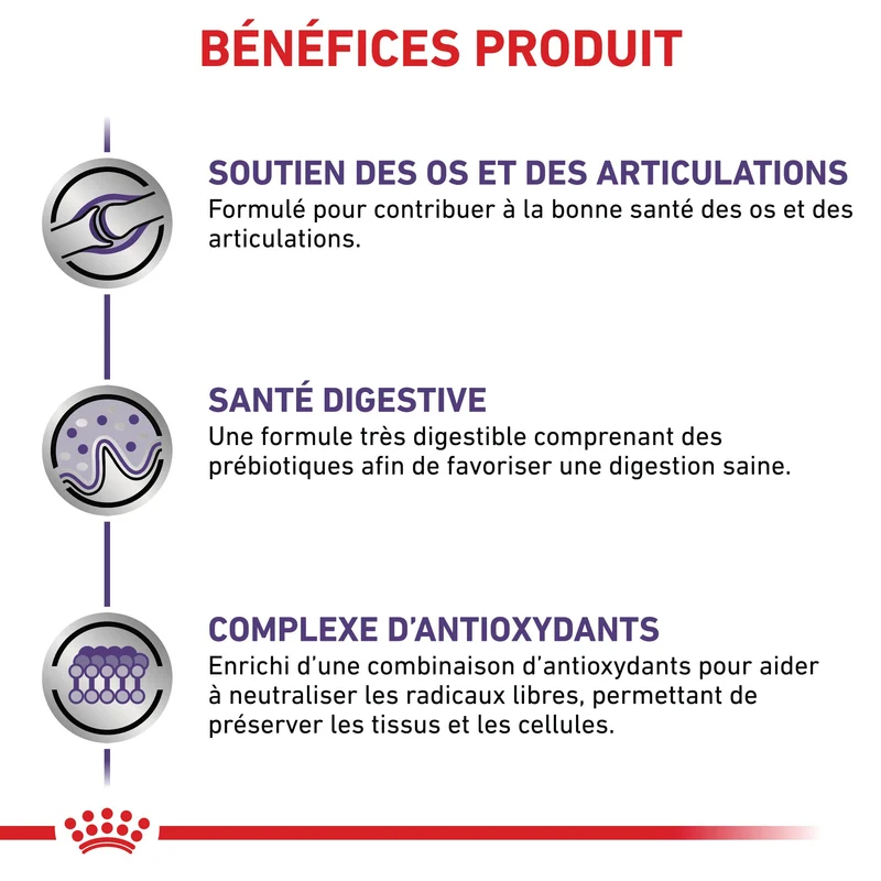 Royal Canin Veterinary Adult Large Dog - croquettes chien