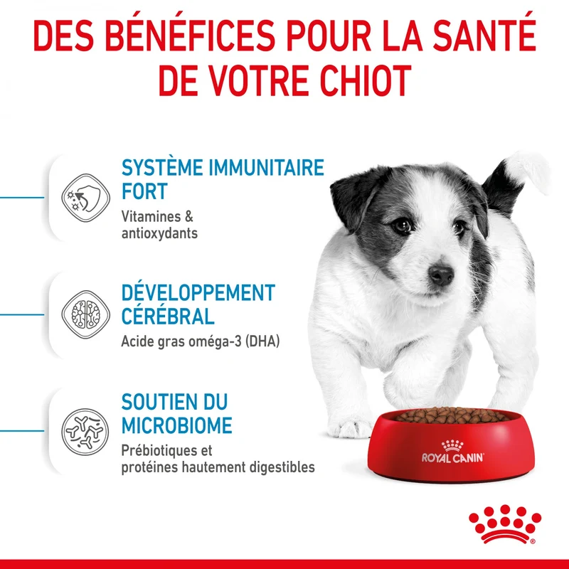 Royal Canin Mini Puppy - croquettes chiot