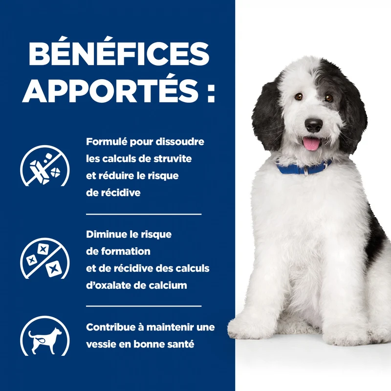 Hill's Prescription Diet c/d Urinary Multicare en boîtes au poulet – pâtée chien