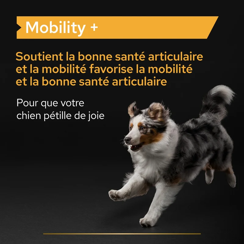 Pro Plan Mobility+ aliment complémentaire en poudre chien